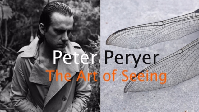 PERYER title 1