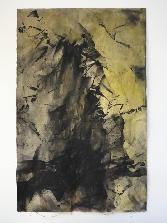 After the Rain, When the Forest Deepens