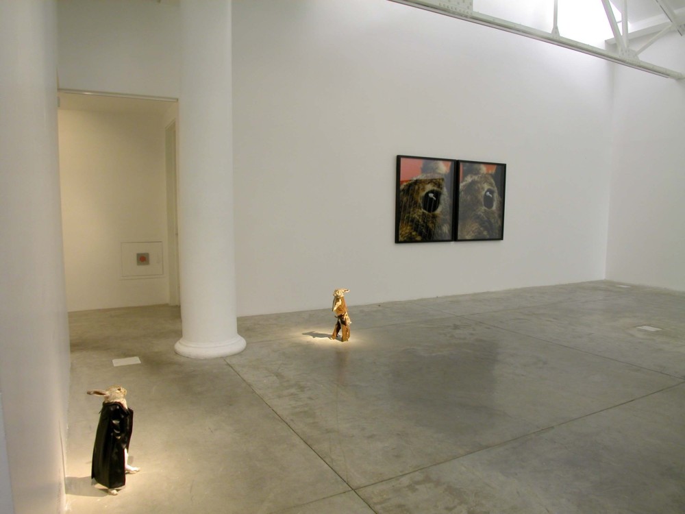 The image shows a white gallery space with a concrete floor. On the floor in the left hand of the image stand two taxidermied rabbits, facing each other but at a distance. They appear to be locked in a dramatic stand-off, one dressed in a long black coat and the other in leather cowboy attire. Both are standing on their hind legs in a human fashion. On the wall behind them hang two large framed photographs of, each showing a rabbit's face zoomed in on the eye. 