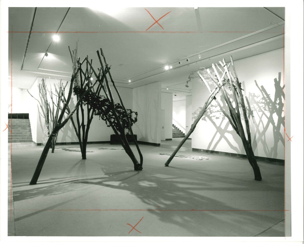 20250325164312130 0001